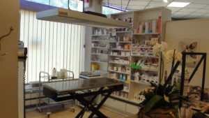 Salle de consultation - Clinique vétérinaire Cauet-Voirin