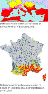 Carte répartition Leishmaniose