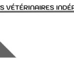 Vétérinaires indépendants