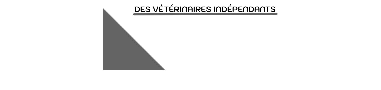 Vétos indépendants