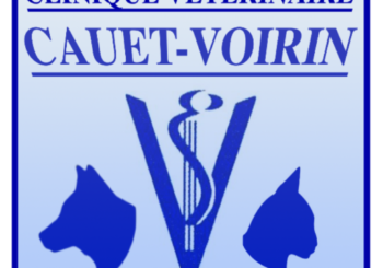 La clinique est ouverte tout l&rsquo;été !