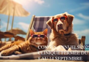 Congés Annuels 2025.