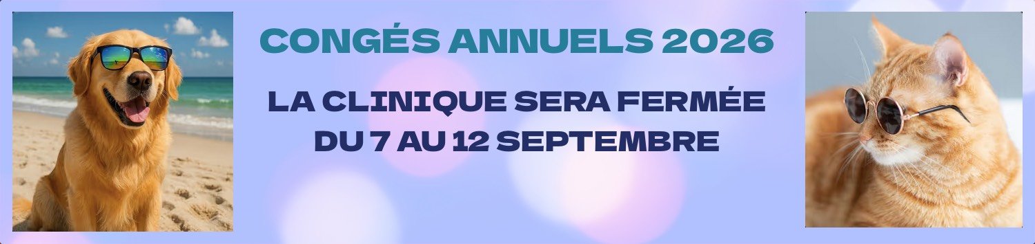 Congés annuels 2026