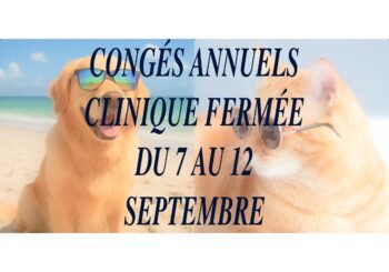 Congés Annuels 2026.